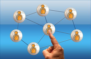 網絡營銷產品與軟件銷售全攻略 策略、工具與實戰技巧