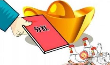 眾祿基金買賣網基金分紅方式詳解